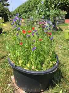 a0d20ebd-b8bd-4050-aa3d-780c4955fd18