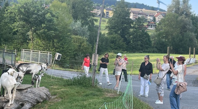 Spaziergänge rund um Luzern – 11. Staffel